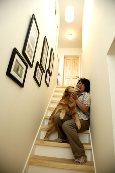 階段は、ペットの写真を飾るギャラリーに