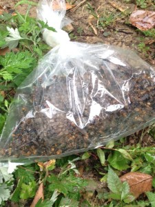 g_SOPFpSv3m3C_H1412149249