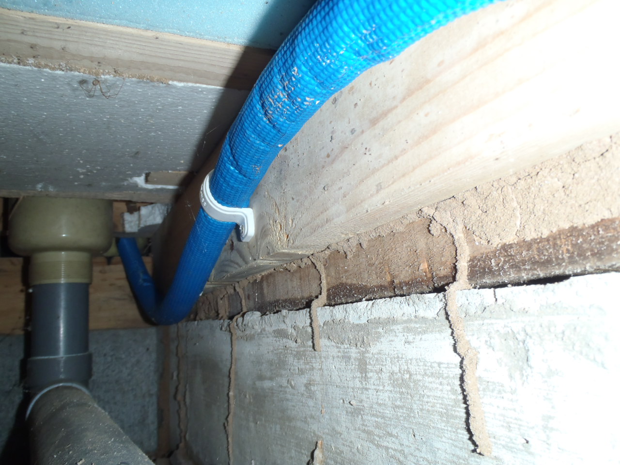 蟻道-蟻の通り道-防蟻材（ボロンdeガード）を噴霧