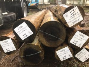 LINE_ALBUM_20211109地盤改良_211110_4