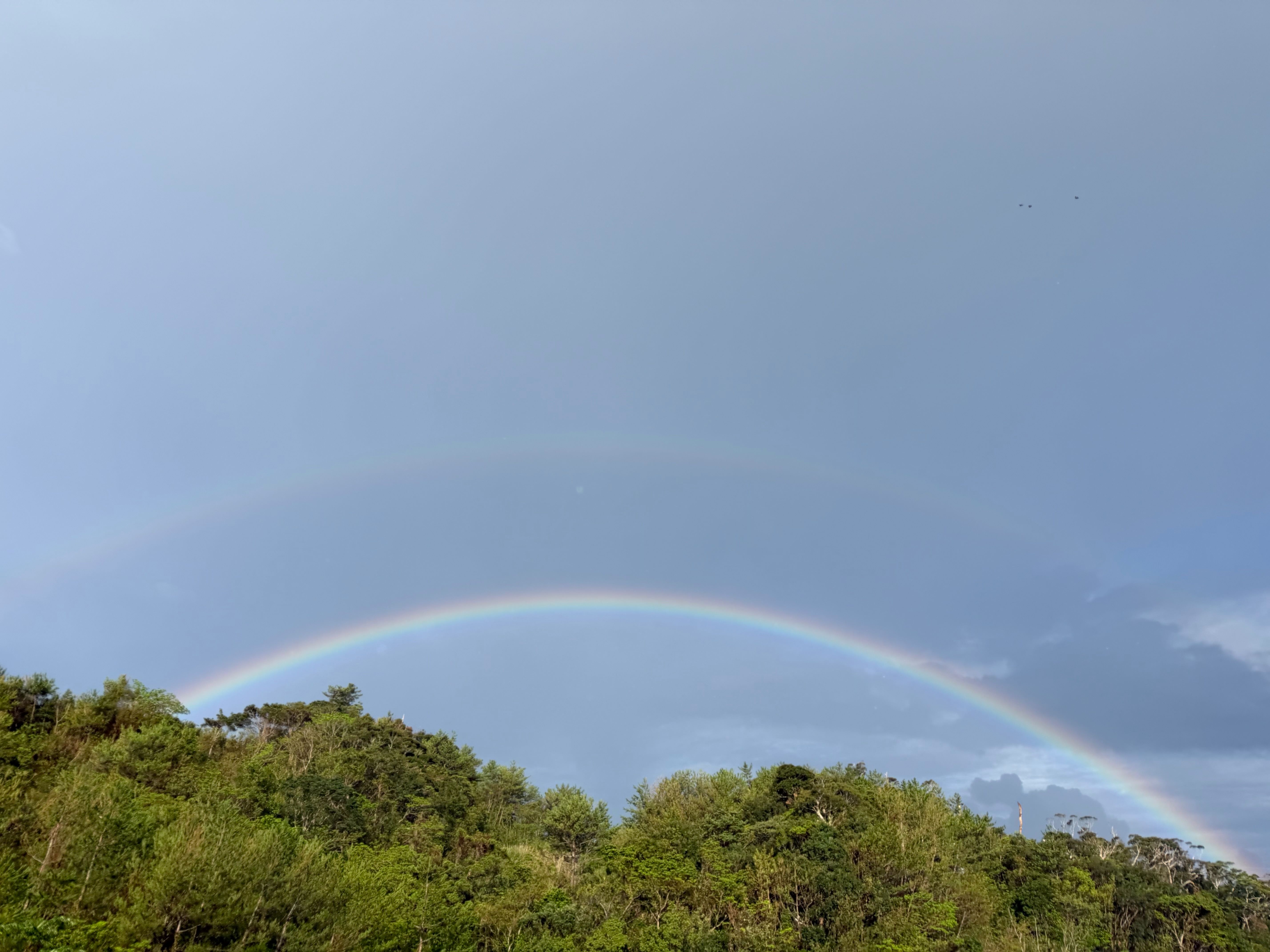 幸せのお裾分け　🌈