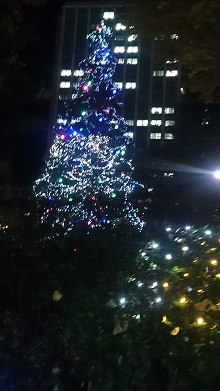 今年もこの季節がやってきました。クリスマス