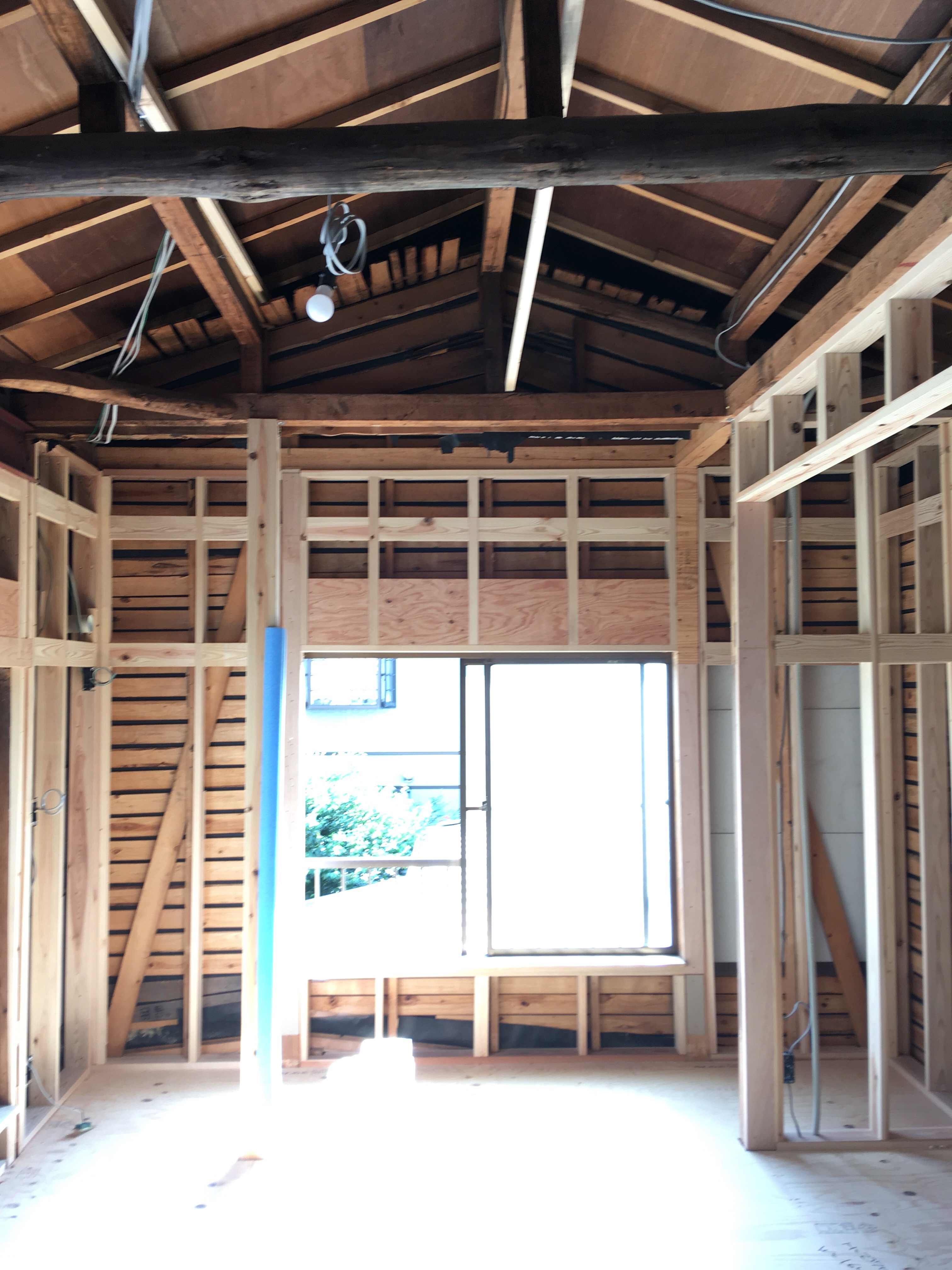 セルロース吹込み前の下地完了！