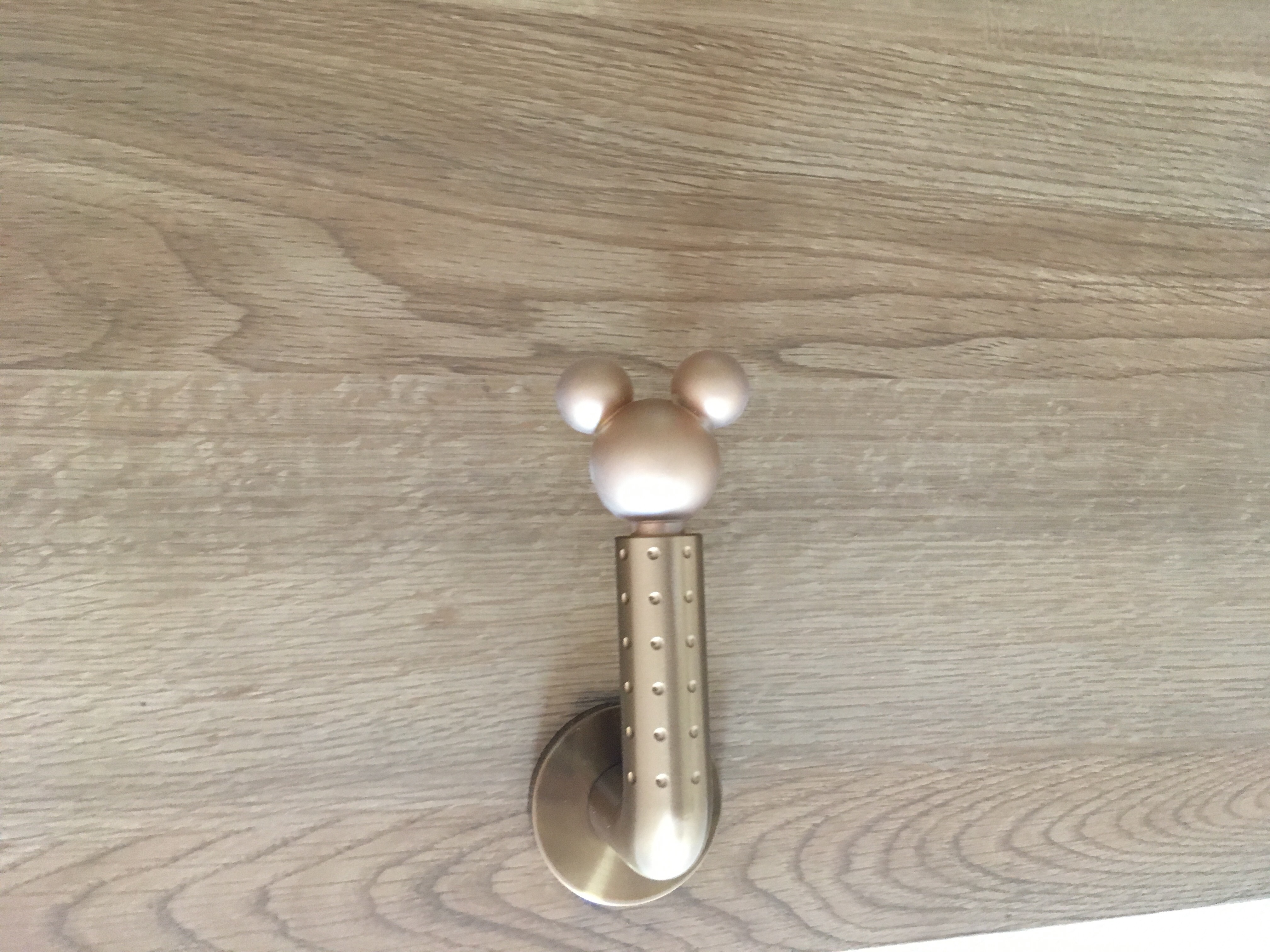 ミッキー　ドア　扉　取っ手