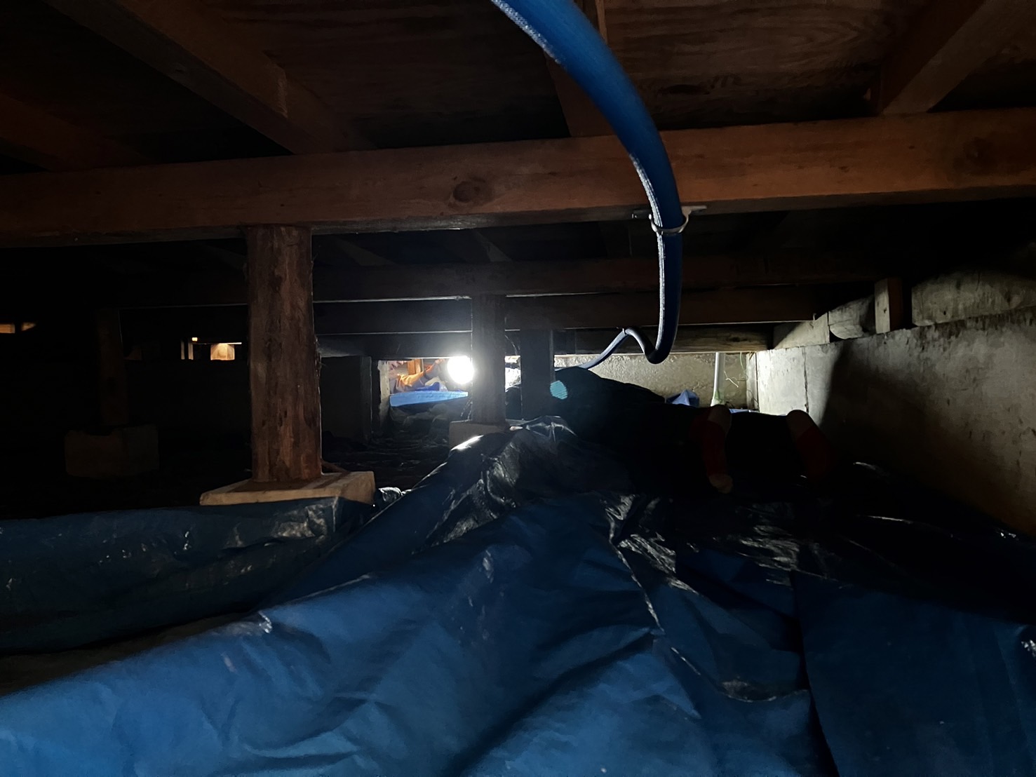 木耐協研修に参加しました