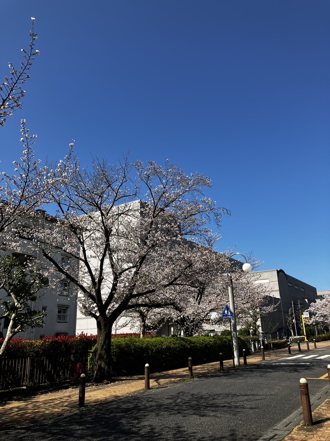 2025年度スタート！！