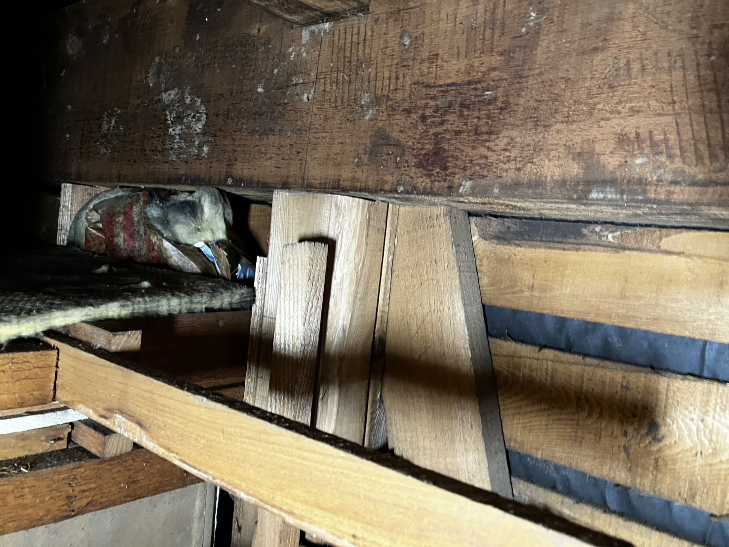 木造住宅の耐震診断って何をするの？現場から解説します！