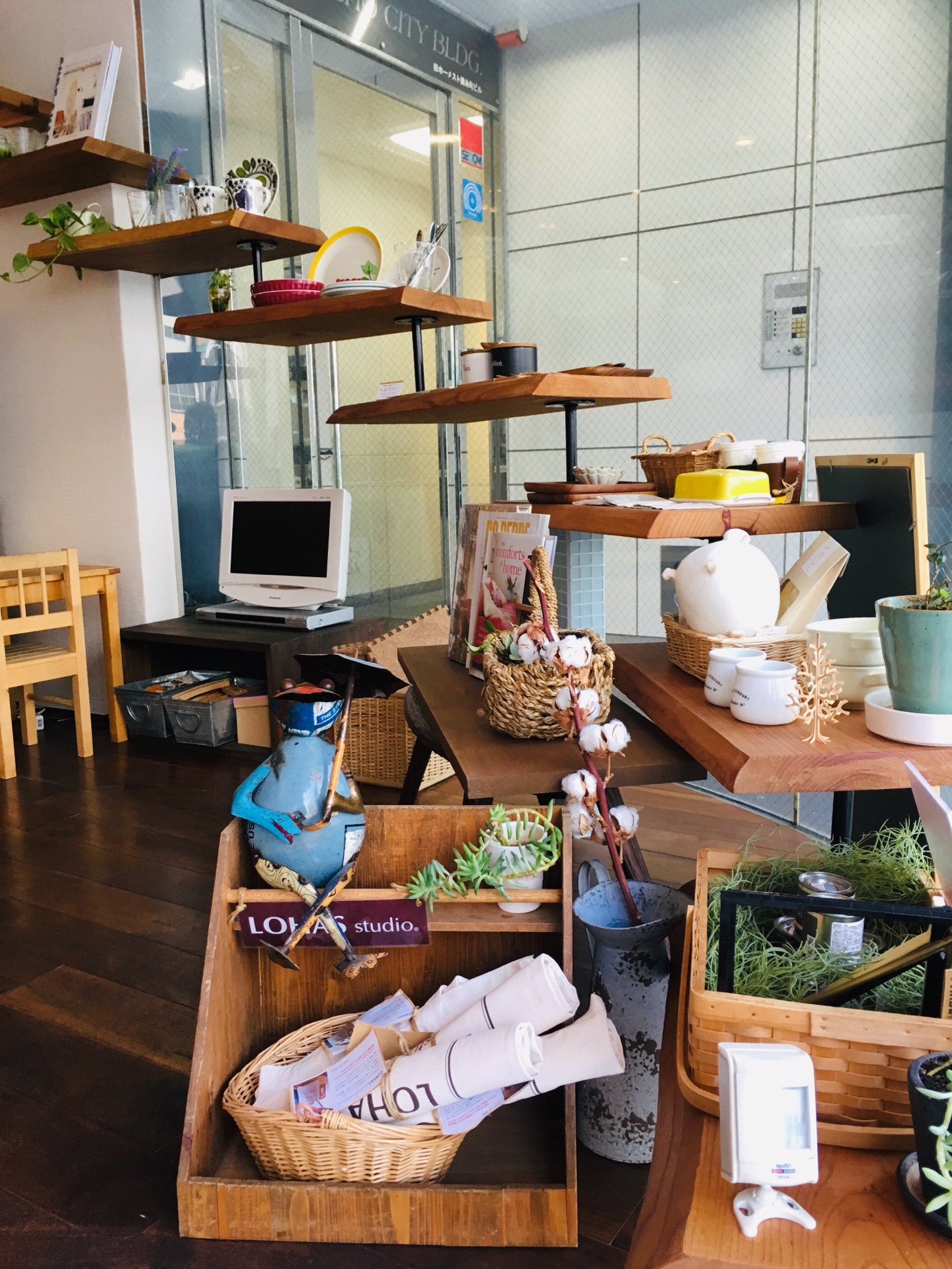 桜開花しました(^^)/