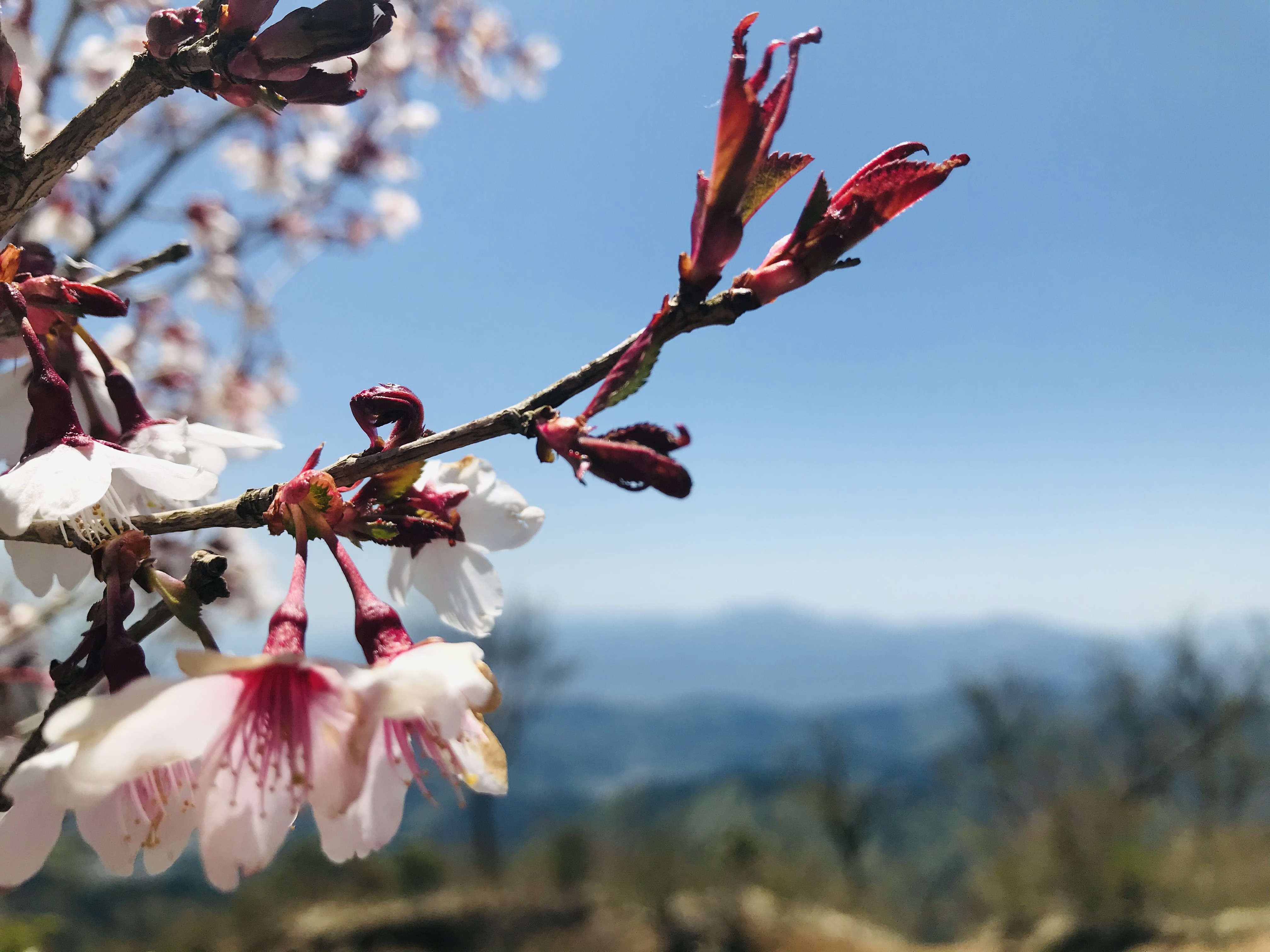 ～壁に塗装してアクセントを～