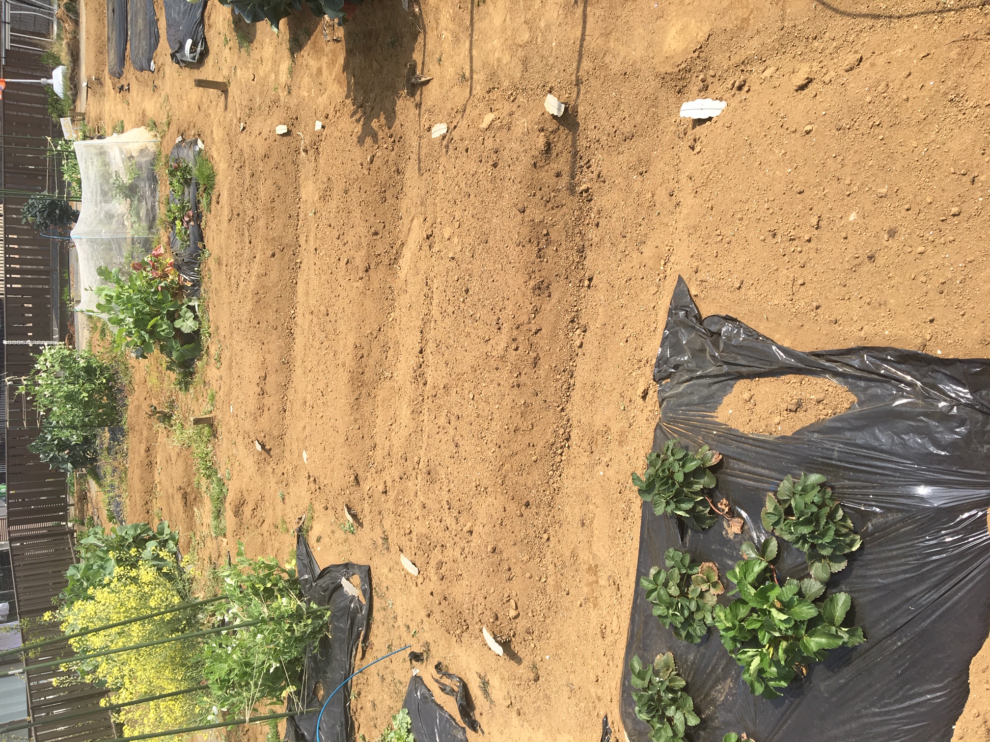 『畑の良い季節に』