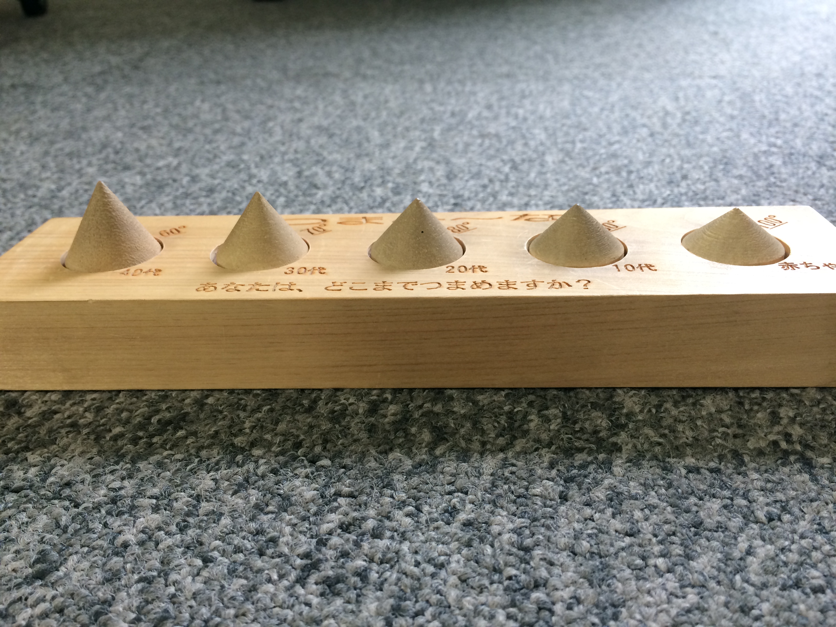 つまみ～なに挑戦しました!!つまめ～な。。。