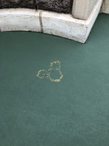 写真 2017-12-04 13 57 49 (600x800)