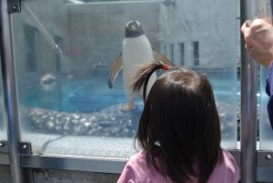 写真 2018-06-18 10 33 09 (1024x686)