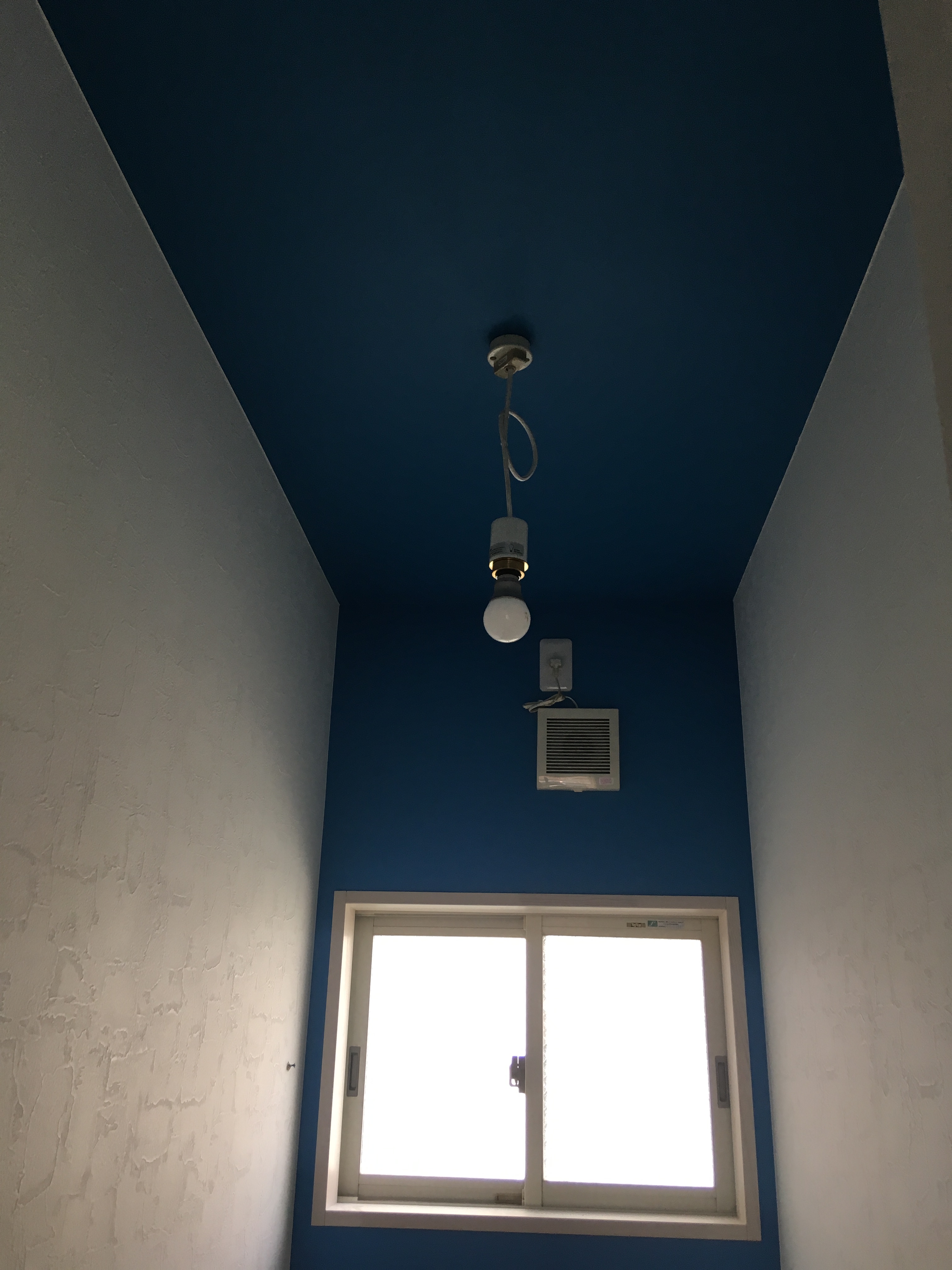 トイレの空間にカラーを♪