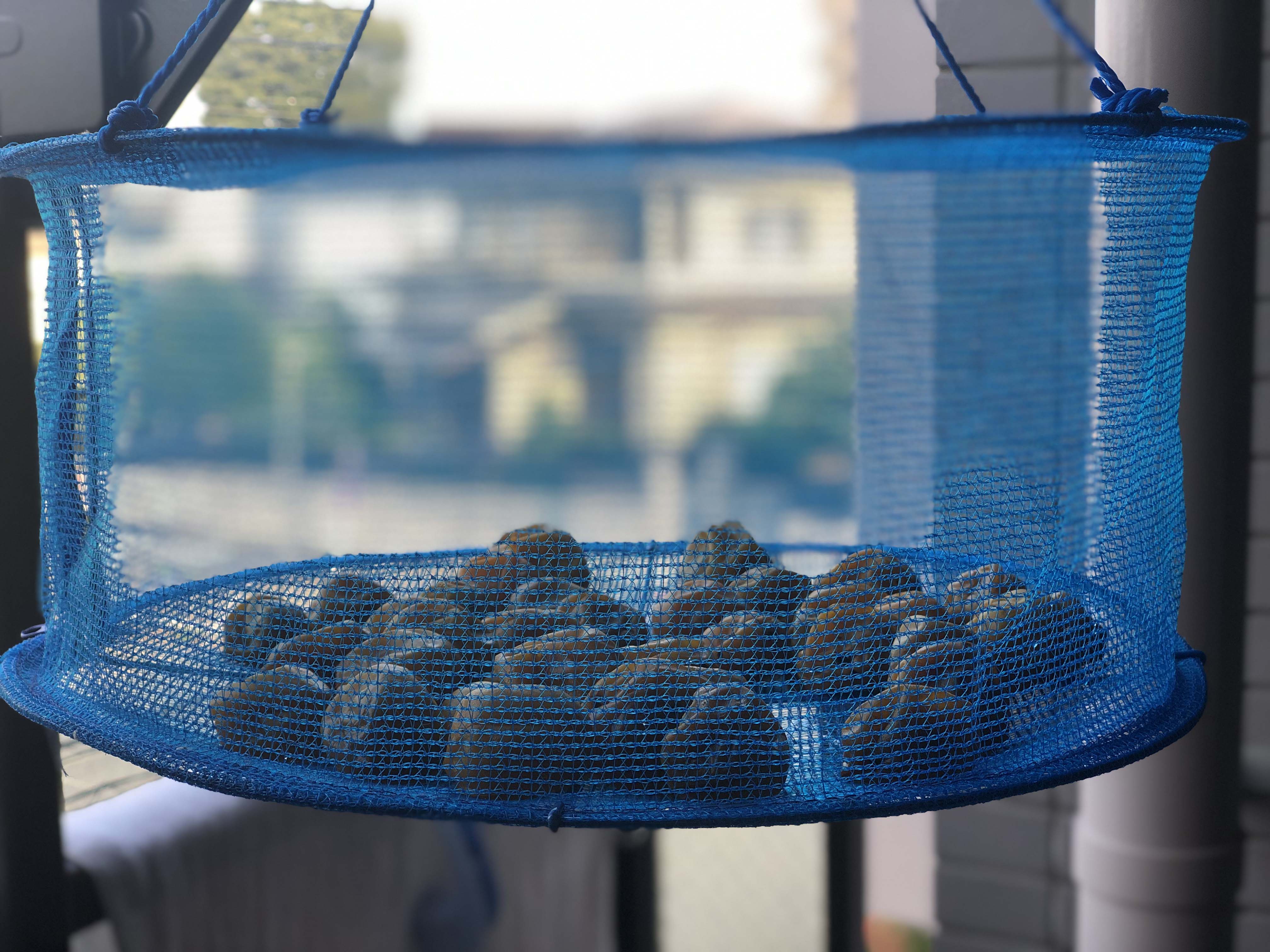 私の梅ちゃん☺