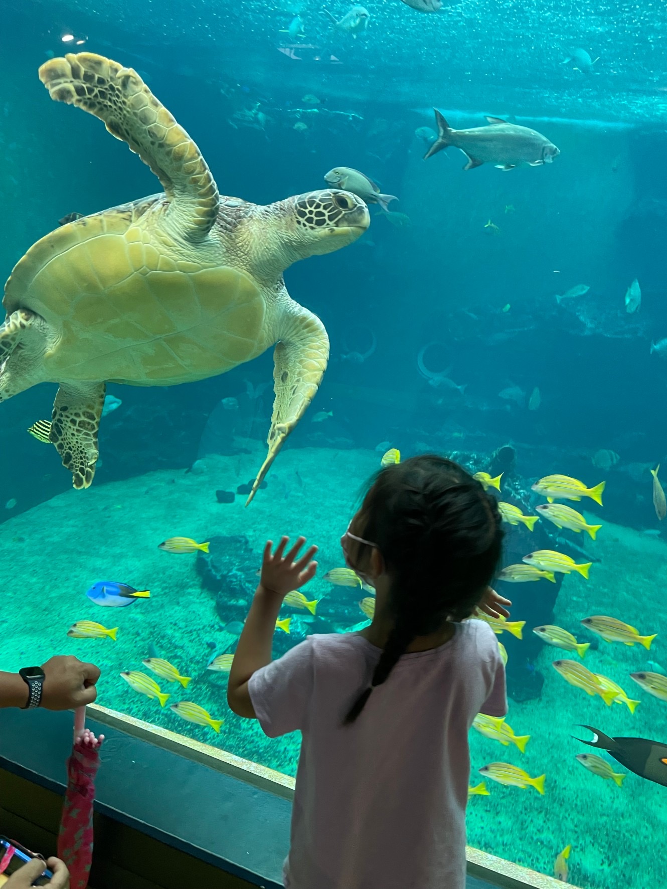 箱根園〜水族館〜