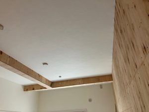 06D8926D-8E12-42EF-958C-EDEBF2060C48