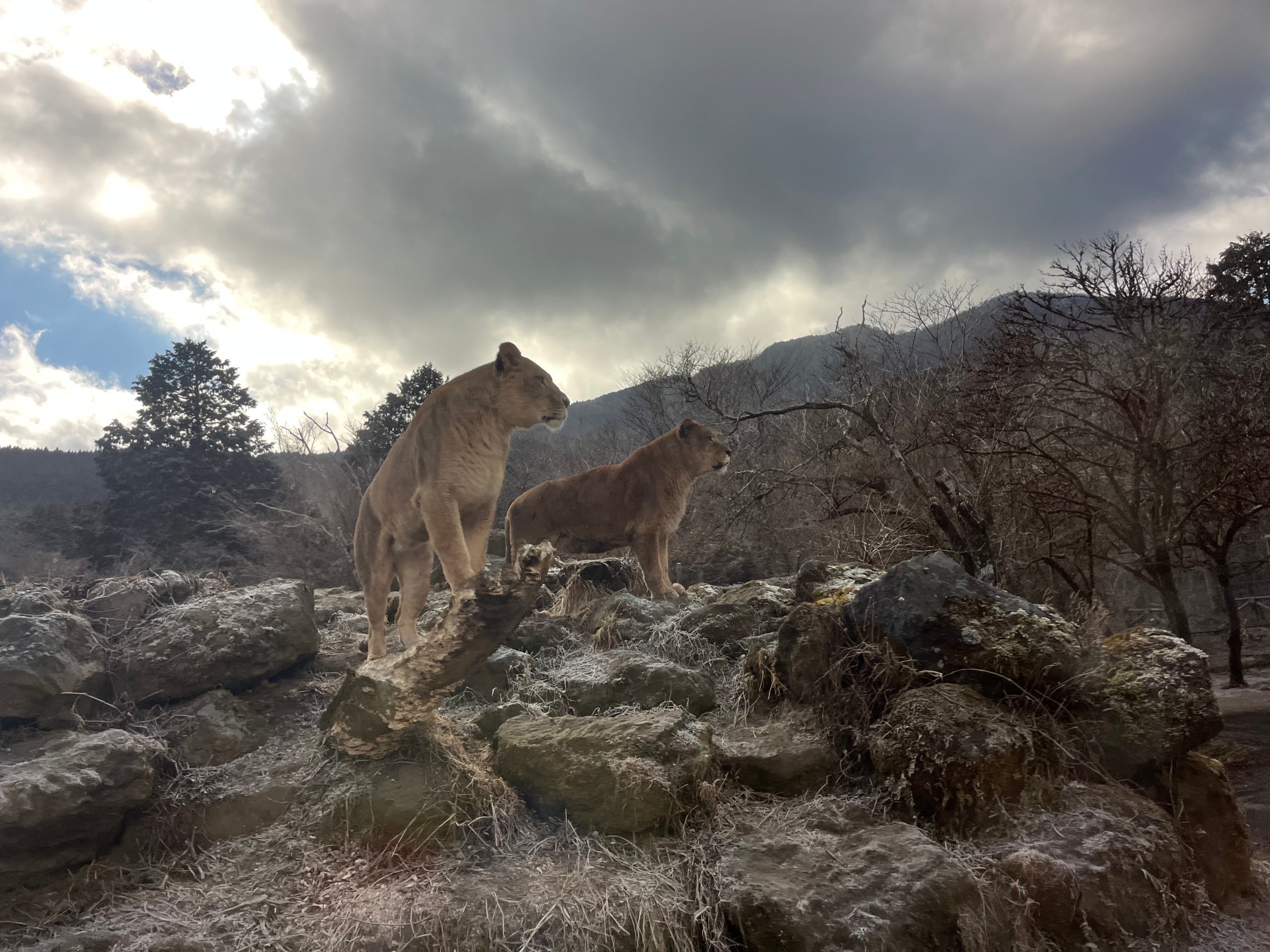 明けましておめでとうございます！！