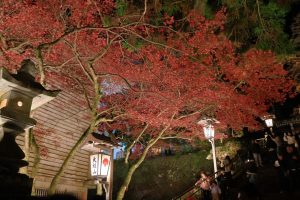 南足柄・導了尊の紅葉ライトアップ