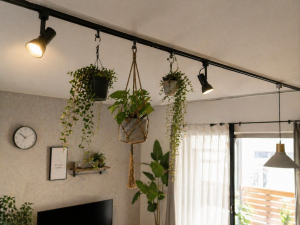 1493b4da-9eae-42a0-bf3c-7e98bdc18e4a