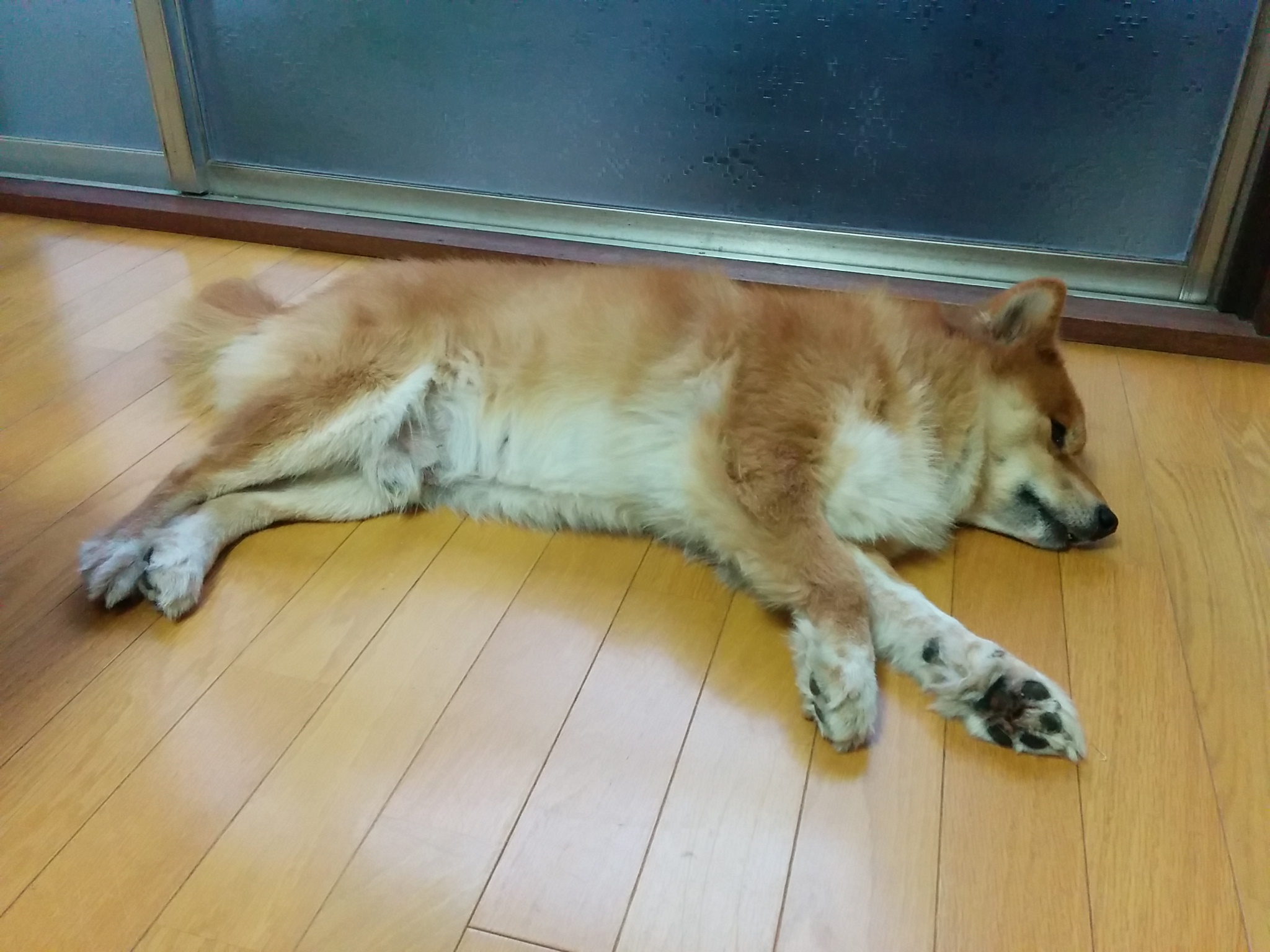 メリークリスマス！！（年末大掃除）