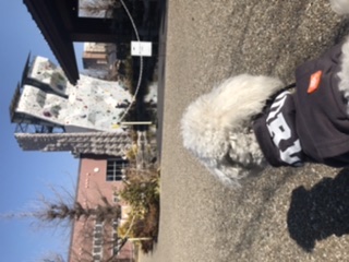 散歩日和〜ボルダリング〜