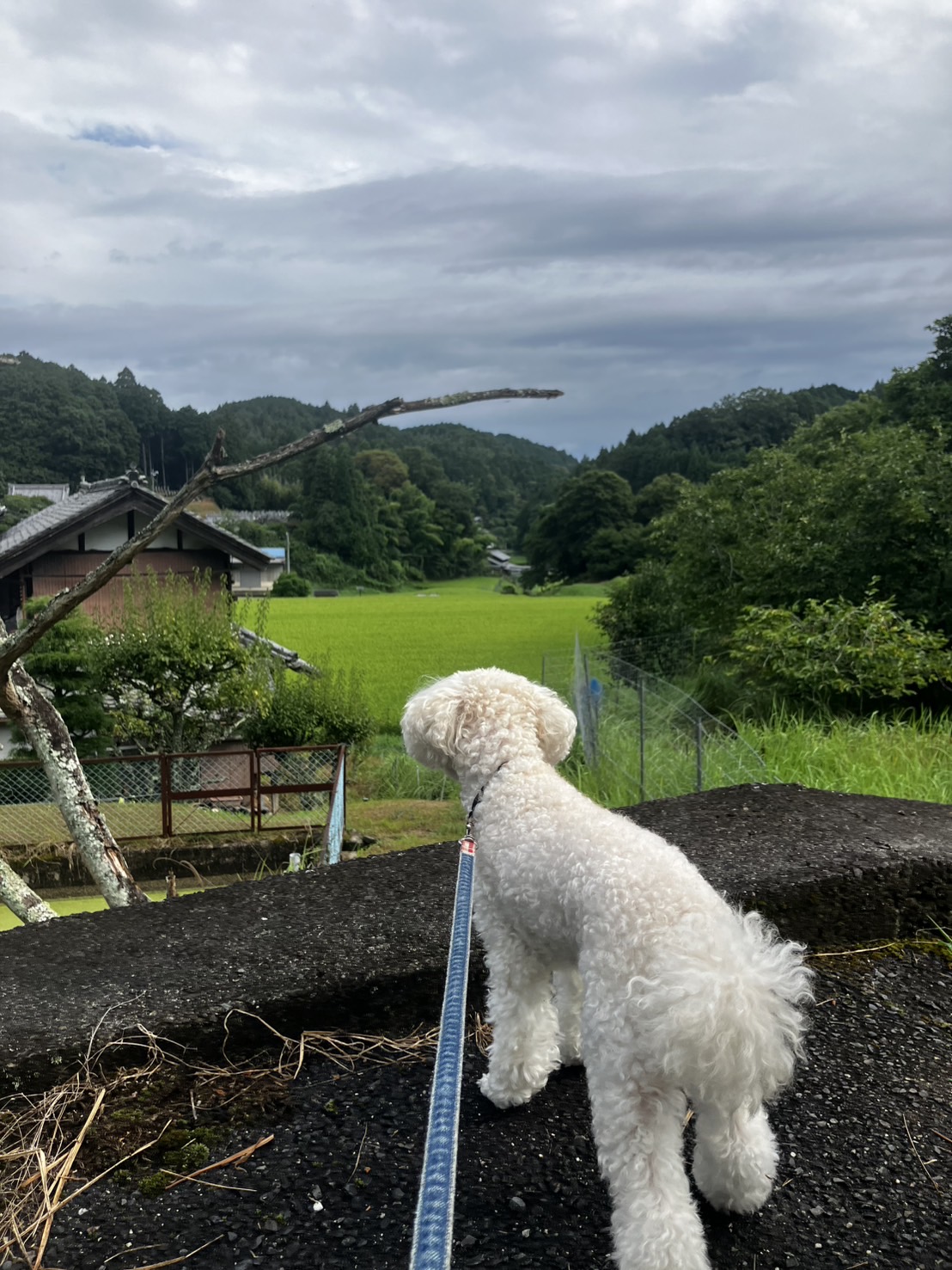 夏休み～西へ450㎞の旅～
