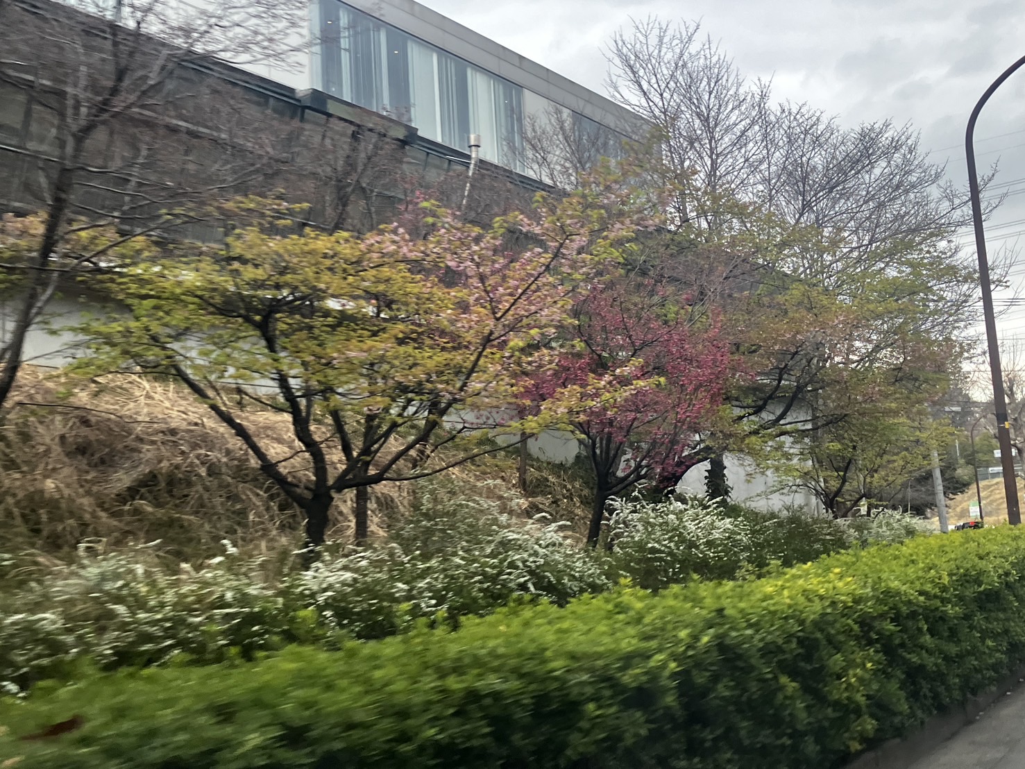 春の息吹～ちょっと寄り道～