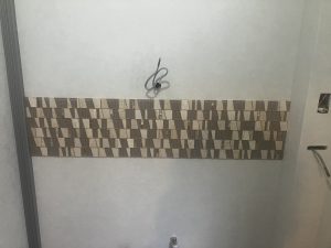 S__36634647_0
