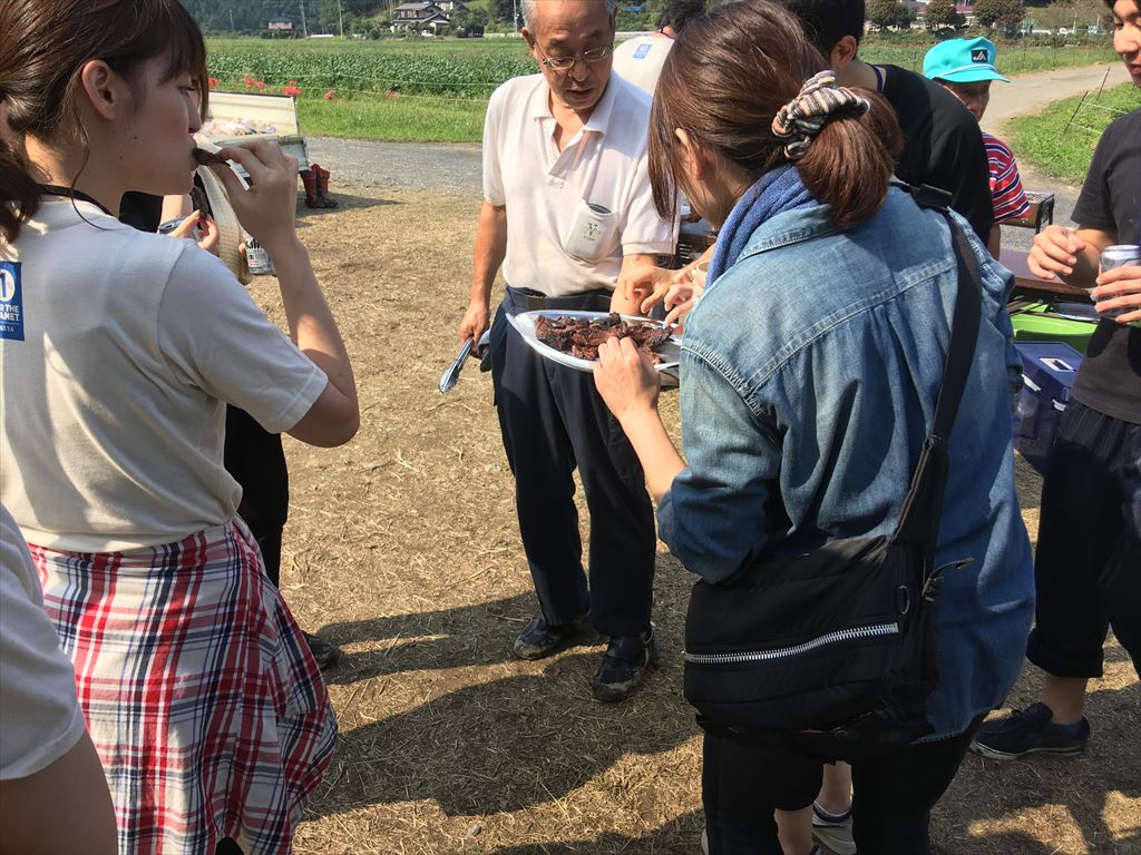 社内研修～稲刈り