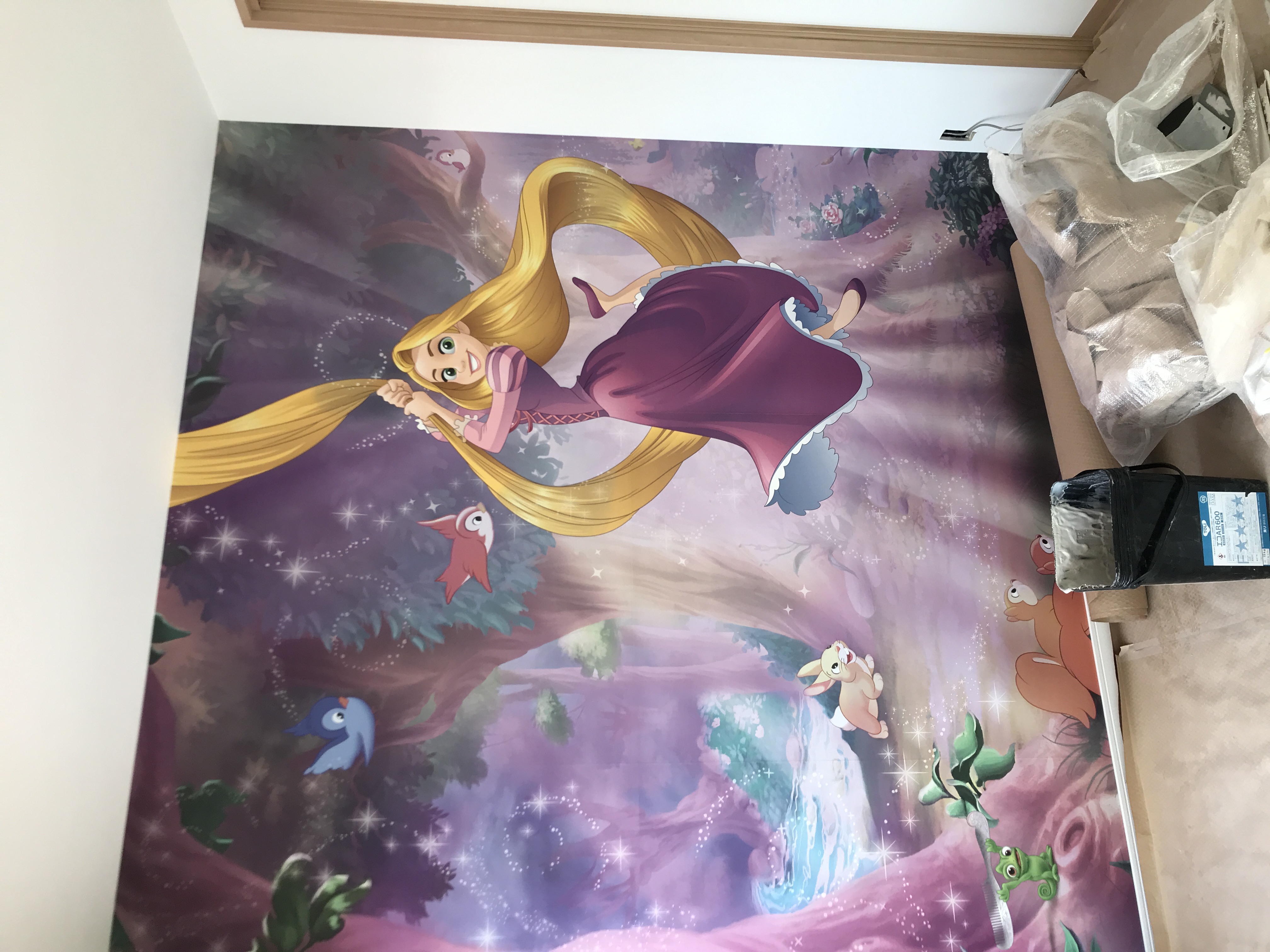 ラプンツェルの壁紙を貼りました！