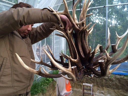 鹿の角を使ったシャンデリア　製作編
