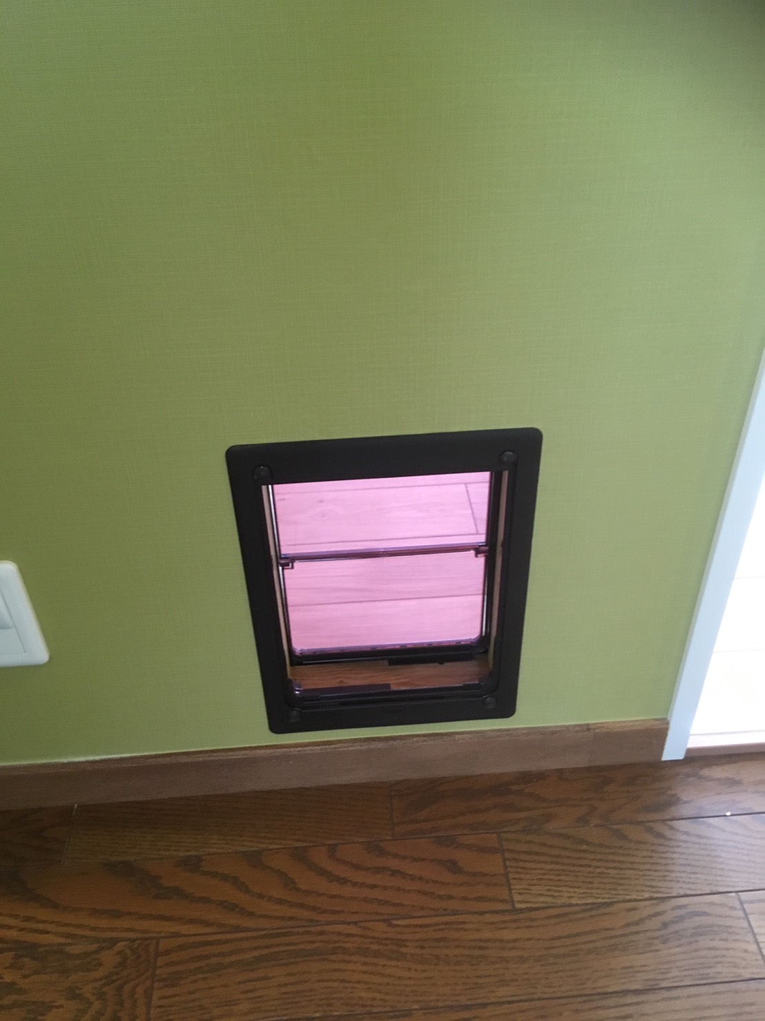 網戸用ペットドアを付けました。