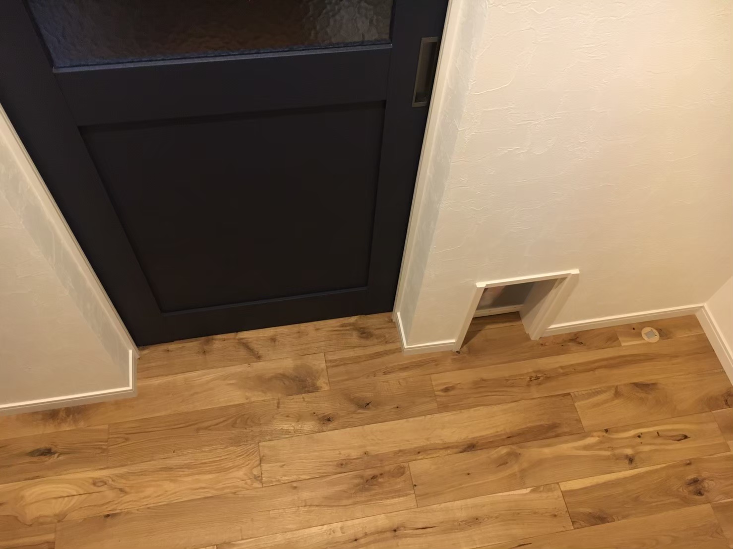 ダイケンペットドアを付けました。