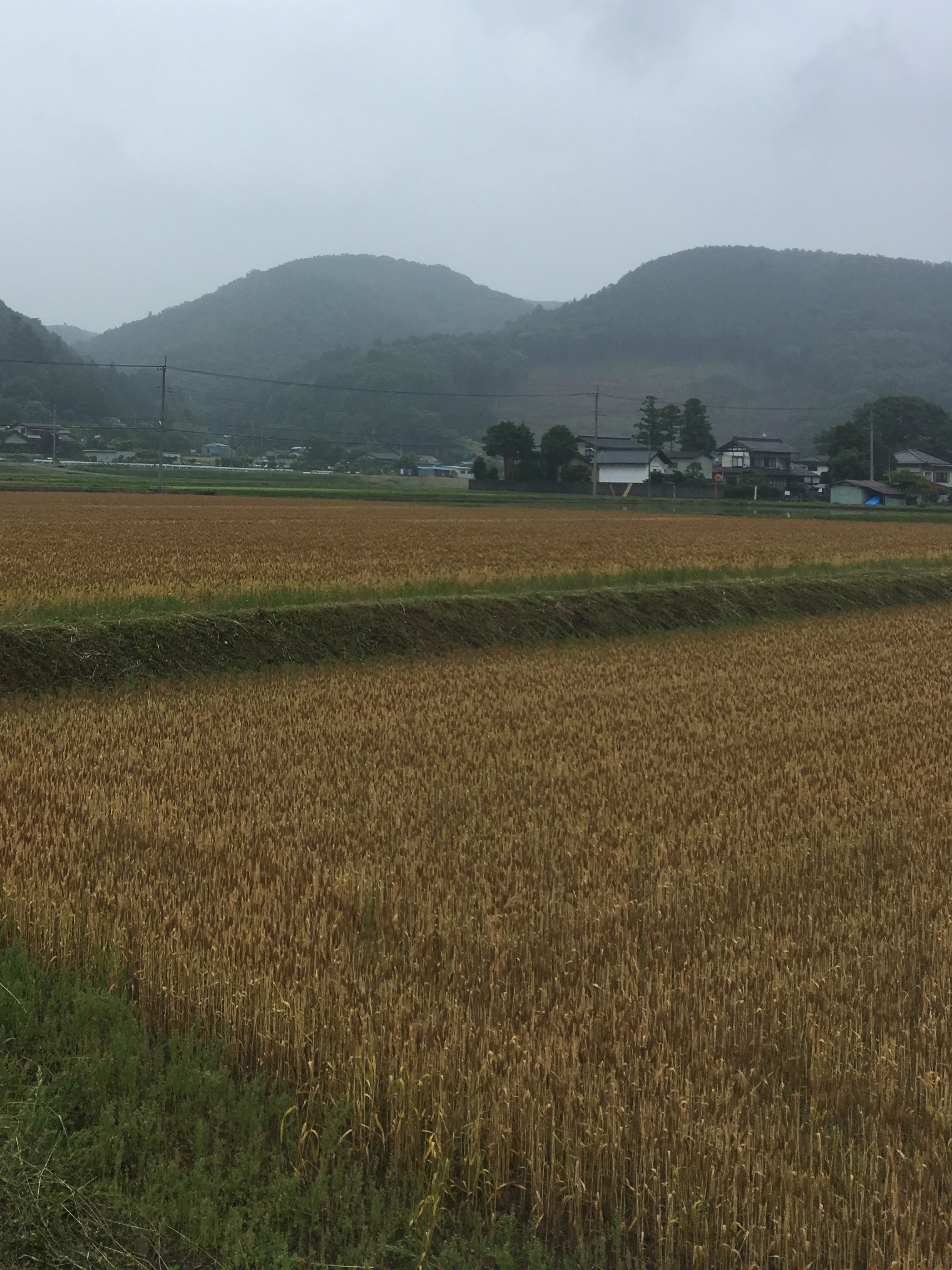 農業研修＠埼玉県　小川町