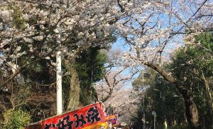 写真 2018-03-25 14 44 33