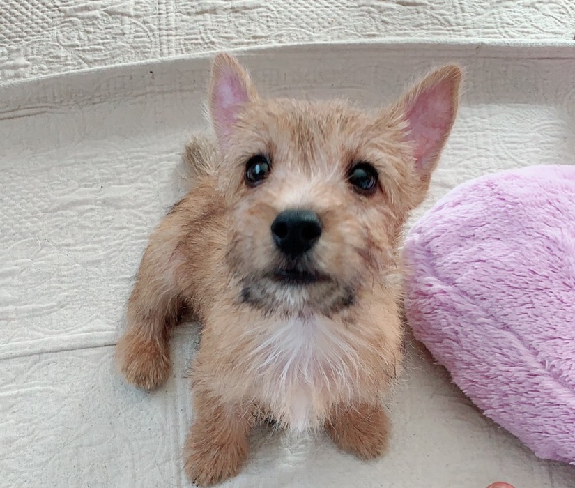 飼いはじめました☆