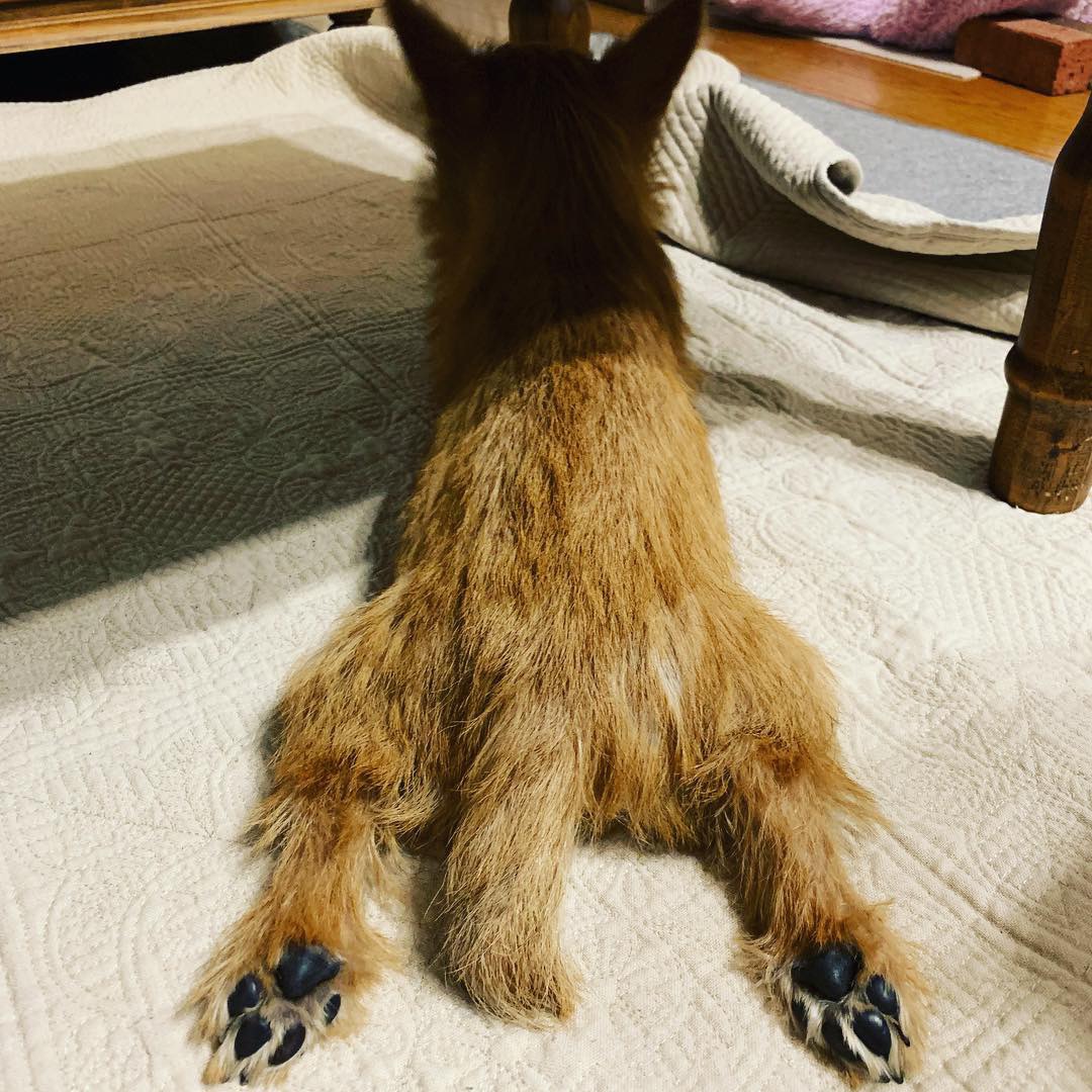 ホットカーペット☆