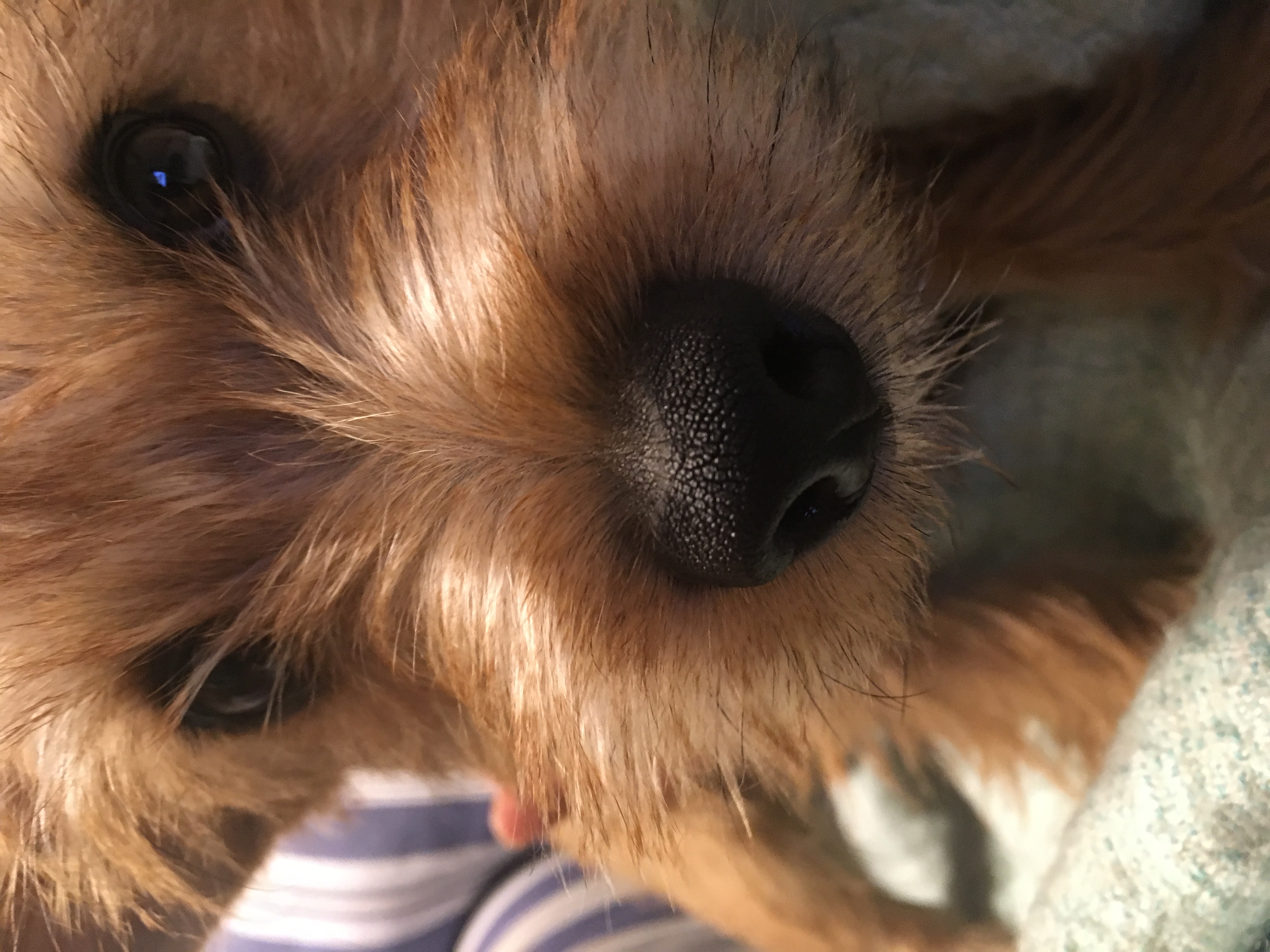 ☆絶賛成長中☆