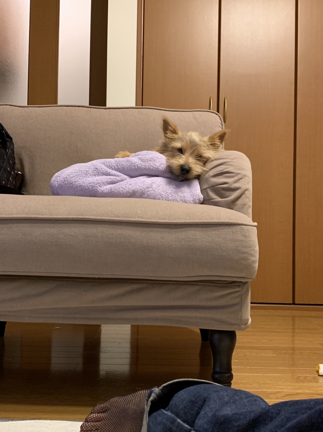 ☆絶賛成長中☆2