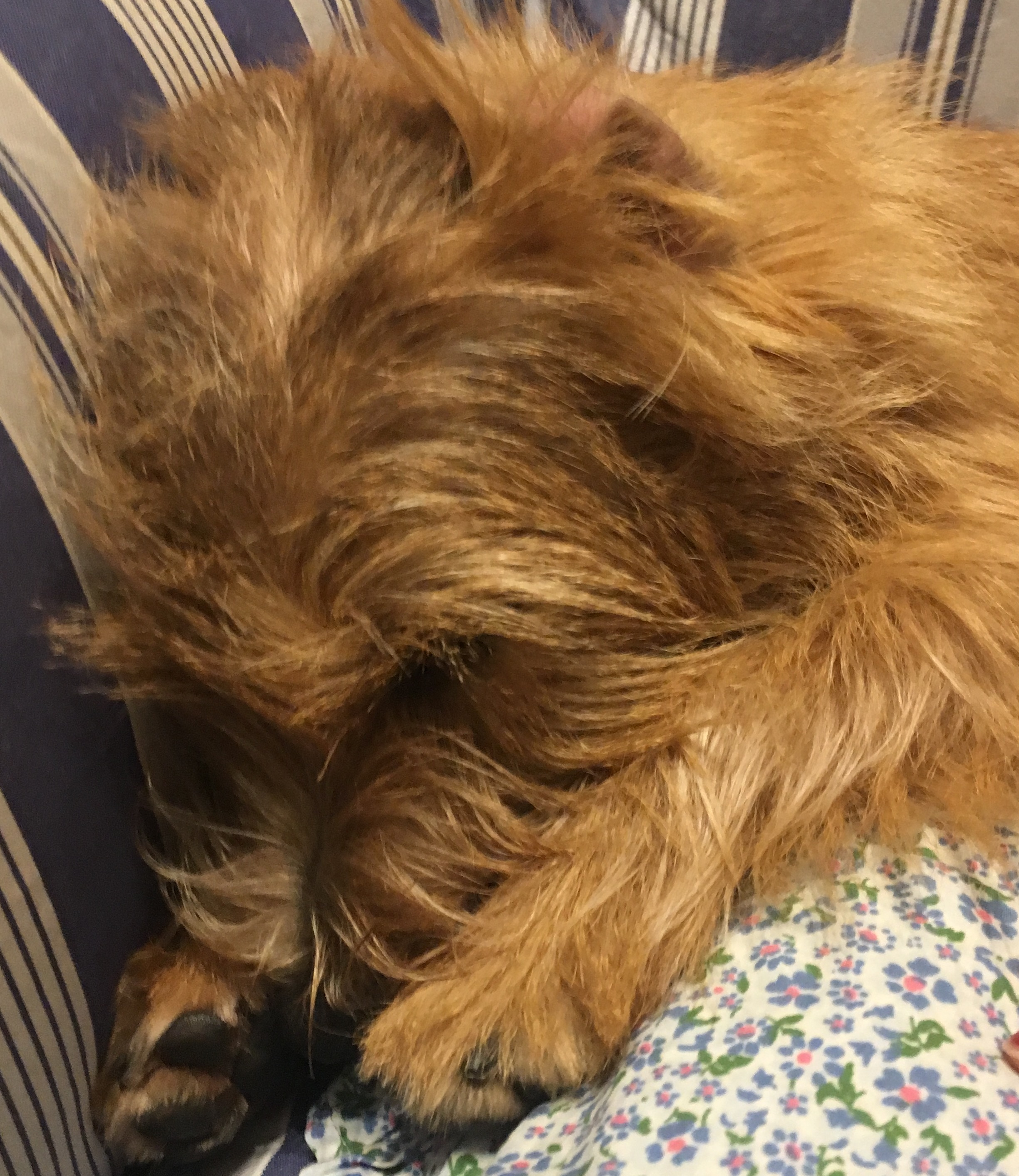 ☆絶賛成長中☆3