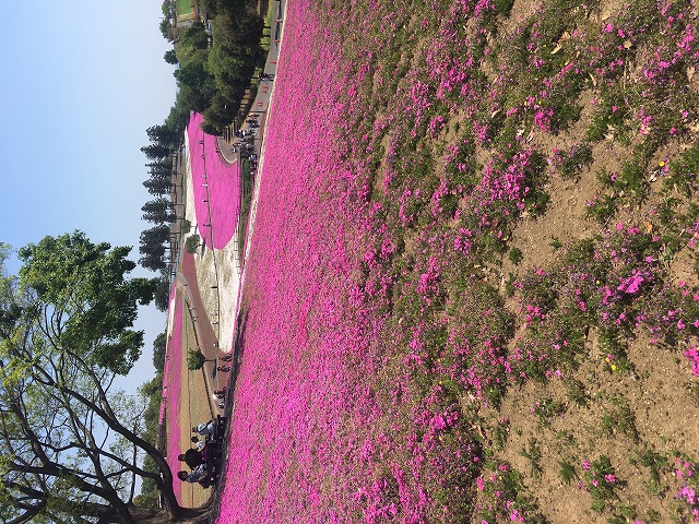 壁面タイル～名古屋モザイク　ストラートストンSTS-800～No.2