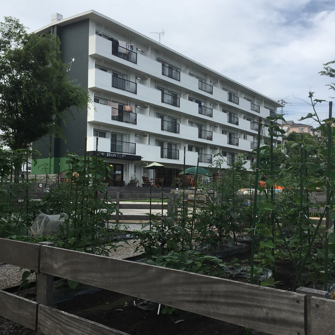 団地リノベーション！