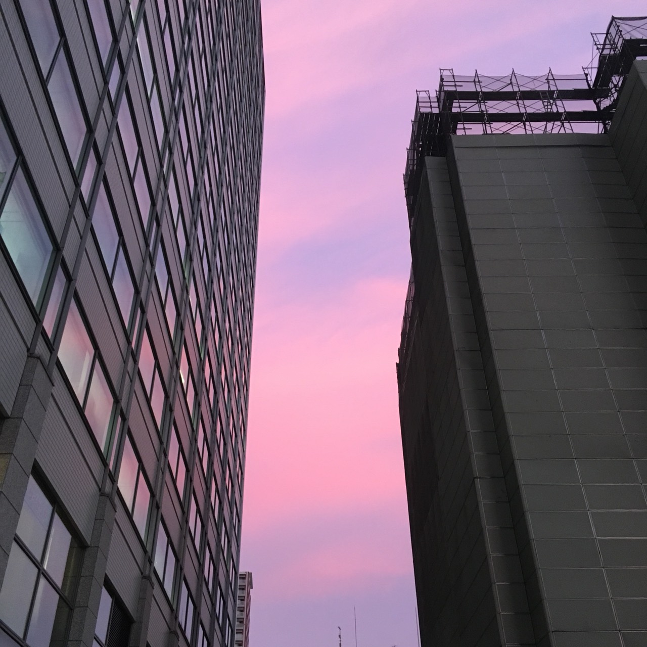 断熱材（ｾﾙﾛｰｽﾌｧｲﾊﾞｰ）