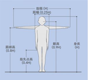 人体寸法とは？
