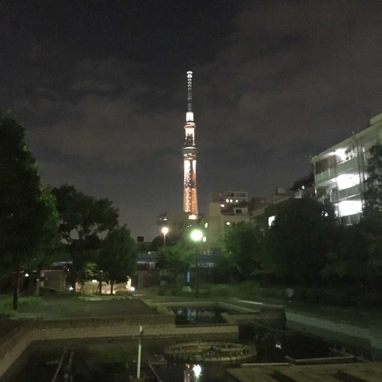 夜な夜な散歩！