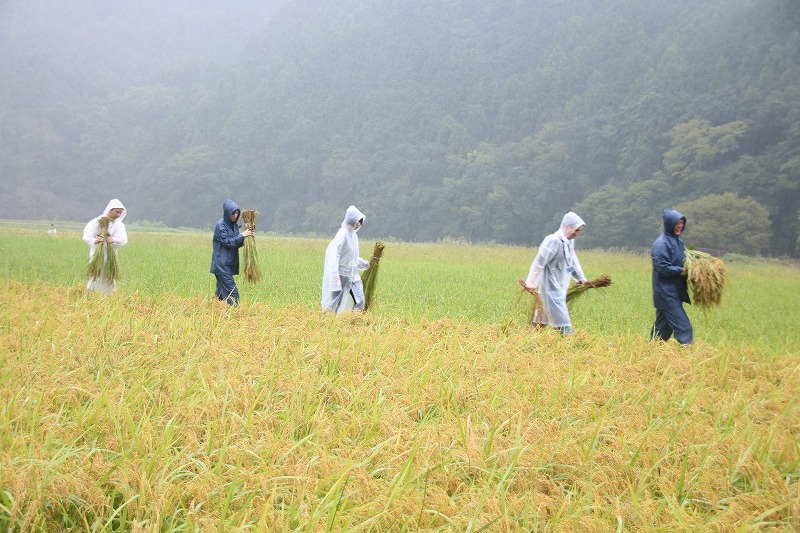 日本ならではの経験！？
