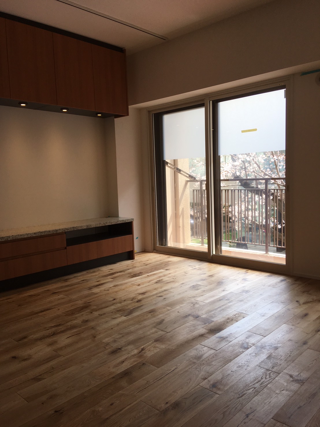 桜の見える素敵なお部屋にて