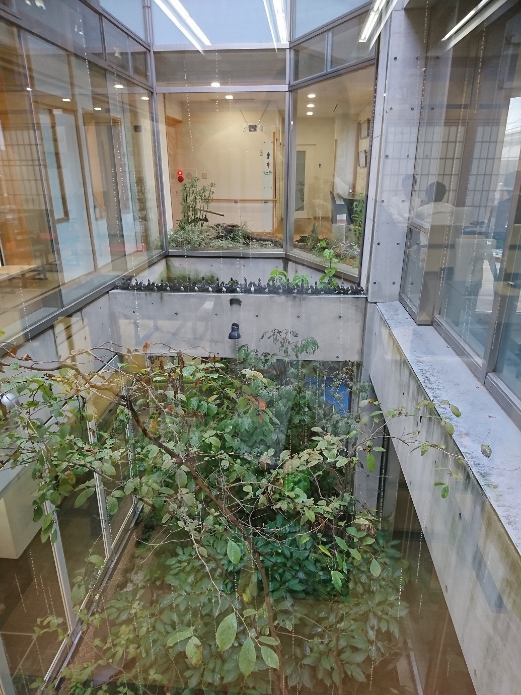 禅寺　東光寺　座禅体験