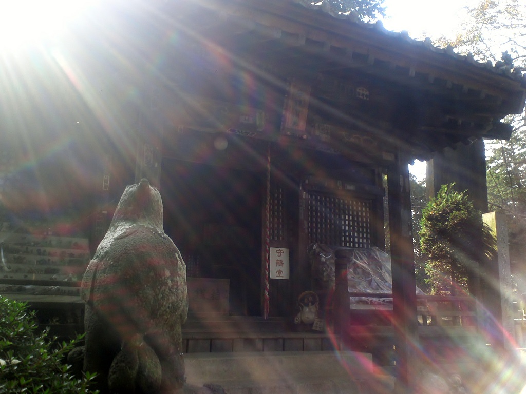 館林市　茂林寺